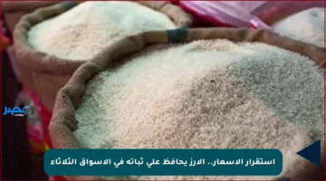 استقرار الأسعار.. الأرز يحافظ على ثباته في الأسواق الثلاثاء